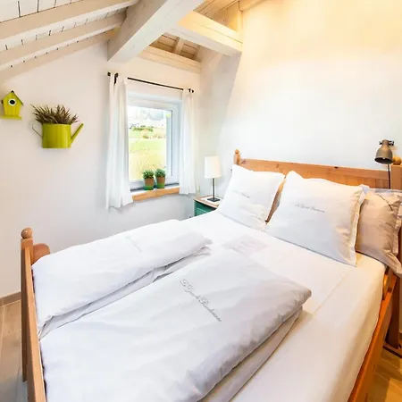 Beautiful Holiday Home Near Vielsalm With Rural View Holiday home