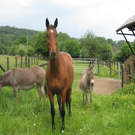 Beautiful Holiday Home Near Vielsalm With Rural View Vielsalm