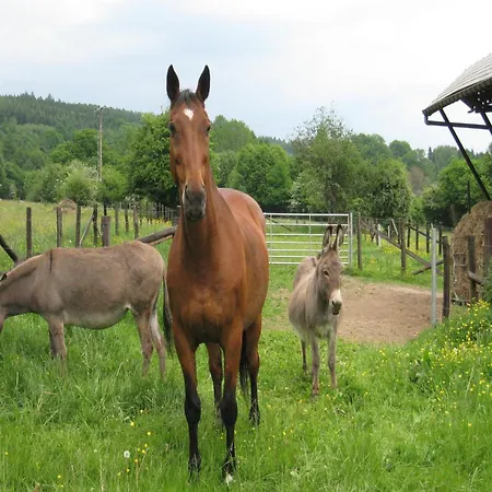 Holiday home Beautiful Holiday Home Near Vielsalm With Rural View *