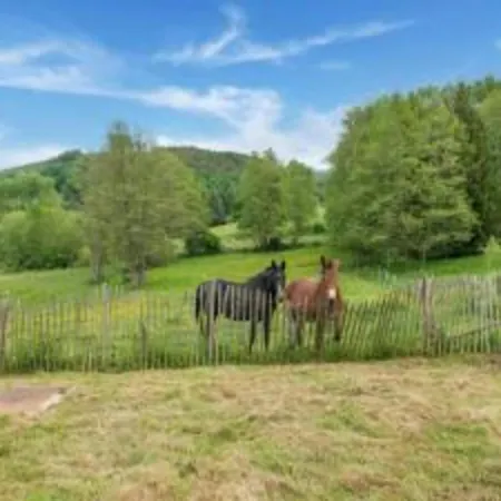 Beautiful Near With Rural View