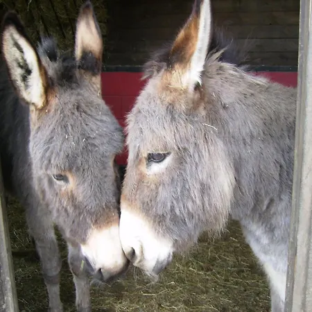 Prázdninový dům Beautiful Near With Rural View